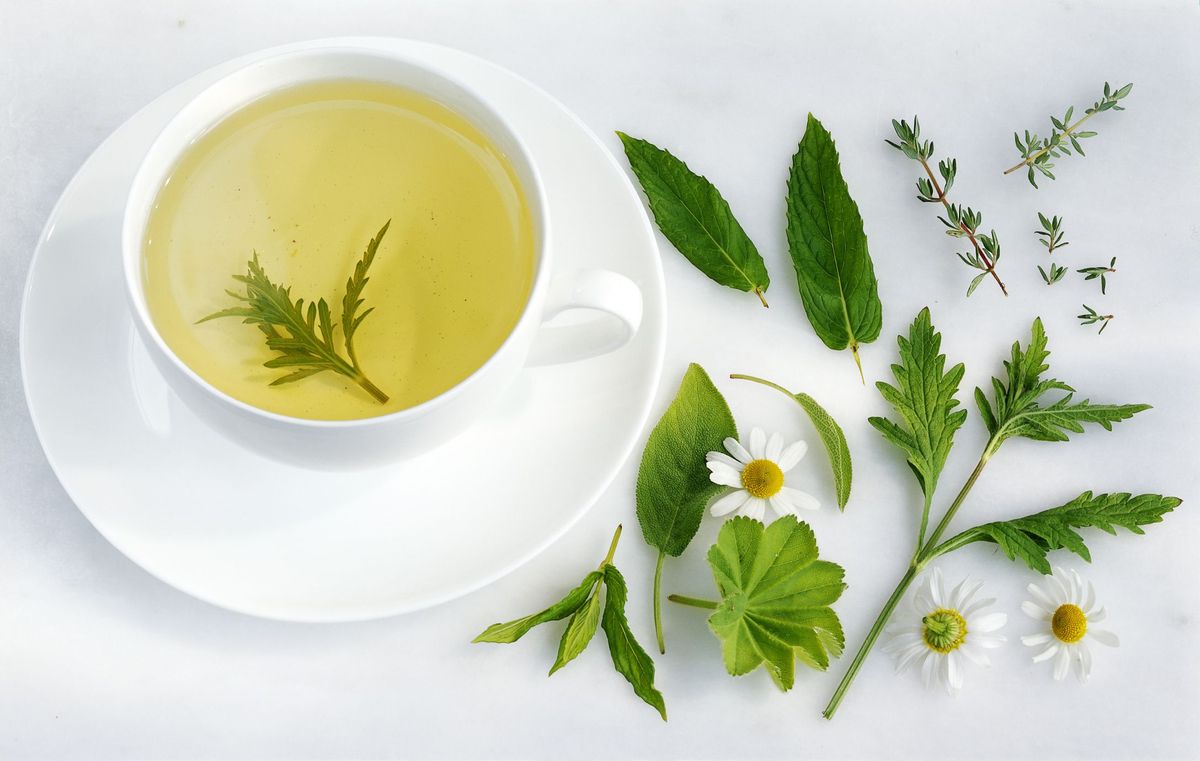 Čaje a léčivé rostliny pro zvýšení obrany