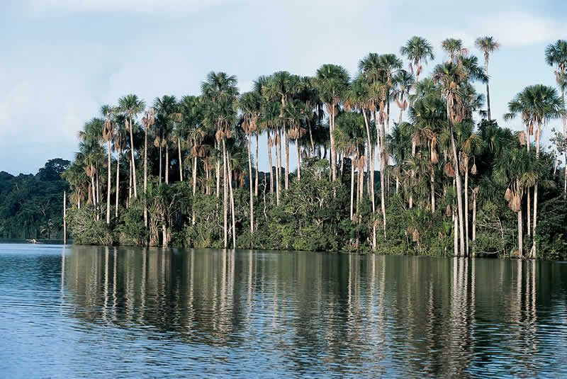 6 luoghi da non perdere a Madre de Dios