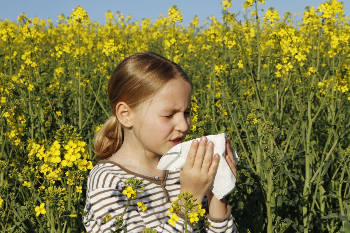 Alergias alimentares e pólen, as alergias mais comuns