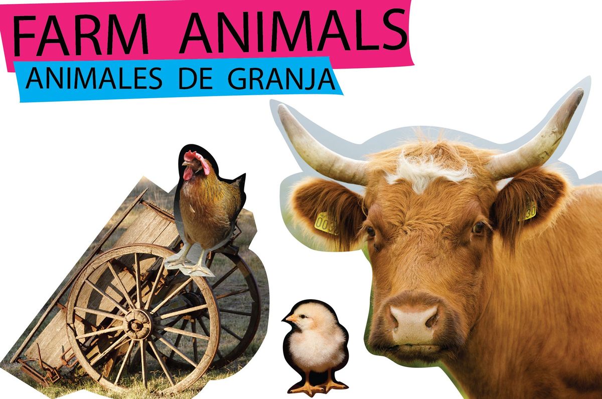 Tiere in Englisch und Spanisch