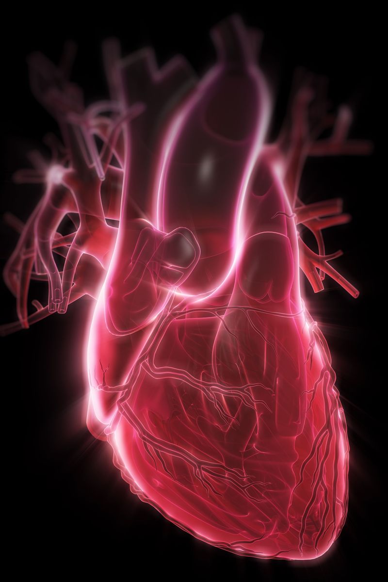 Co je srdeční myxom?