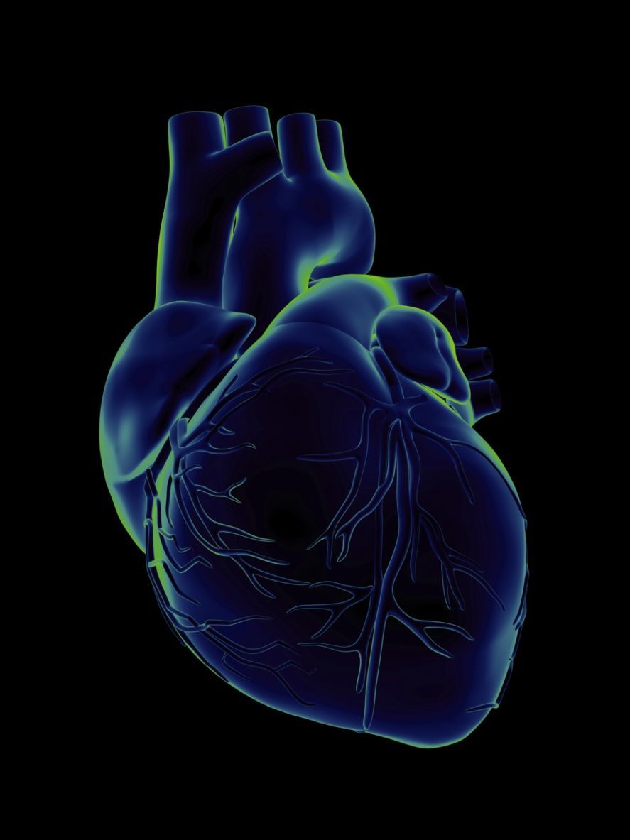 Cos'è una cardiomiopatia?