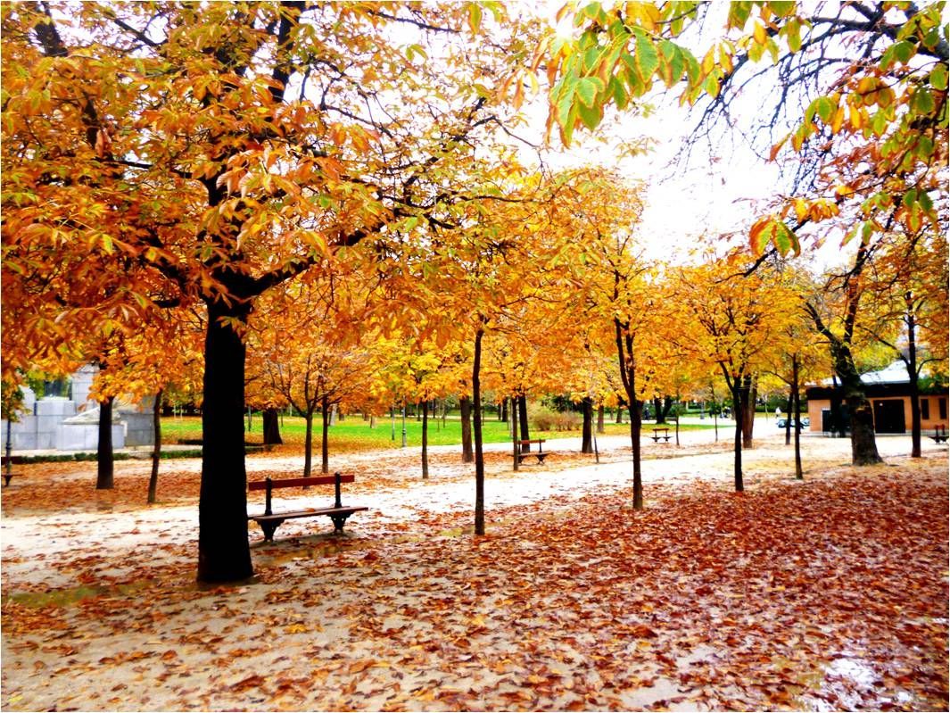 Retiro parkas, Madridas