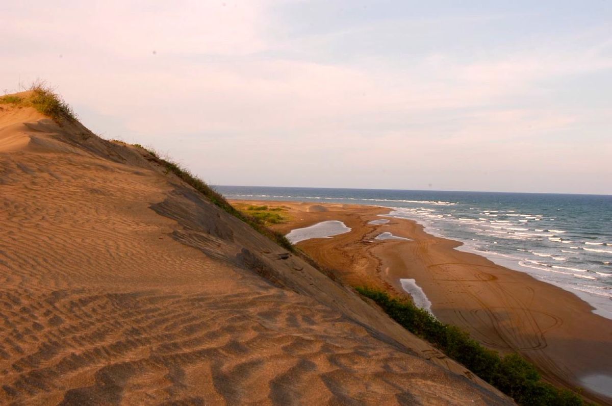 Chachalacas paplūdimys dykumos iliuzija ant jūros kranto
