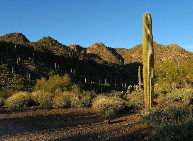 El Pinacate och Gran Desierto de Altar Biosphere Reserve
