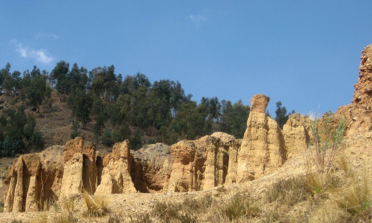 Visita Torre Torre a Huancayo