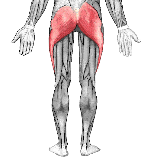 5 errori da evitare negli esercizi di glutei