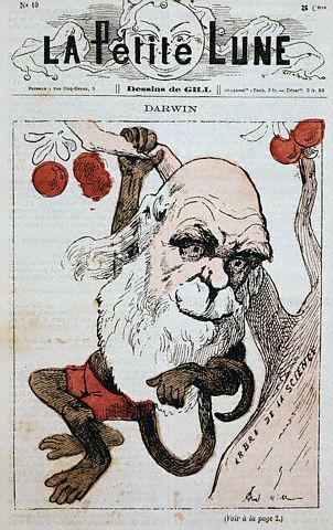 Șapte mituri despre "originea speciei" a lui Charles Darwin