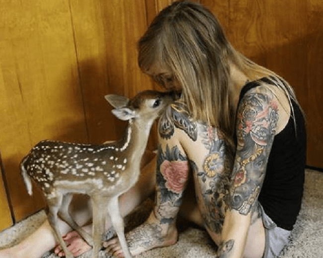 Deer and Rams tatuiruotės prasmė
